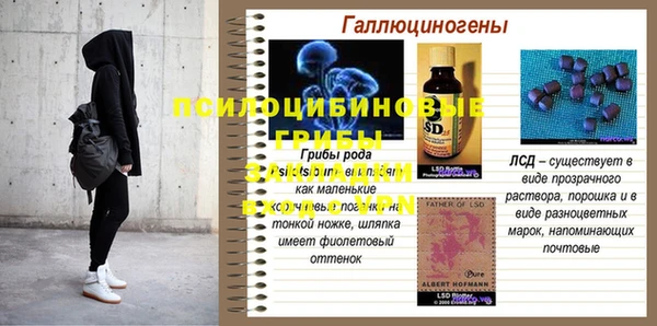 прущая мука Абаза