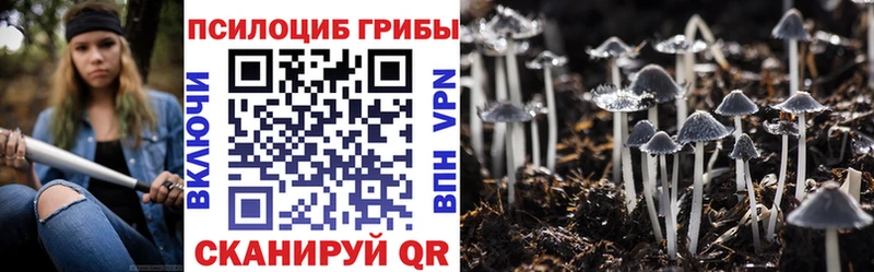 Псилоцибиновые грибы Psilocybe купить сайты Аксай